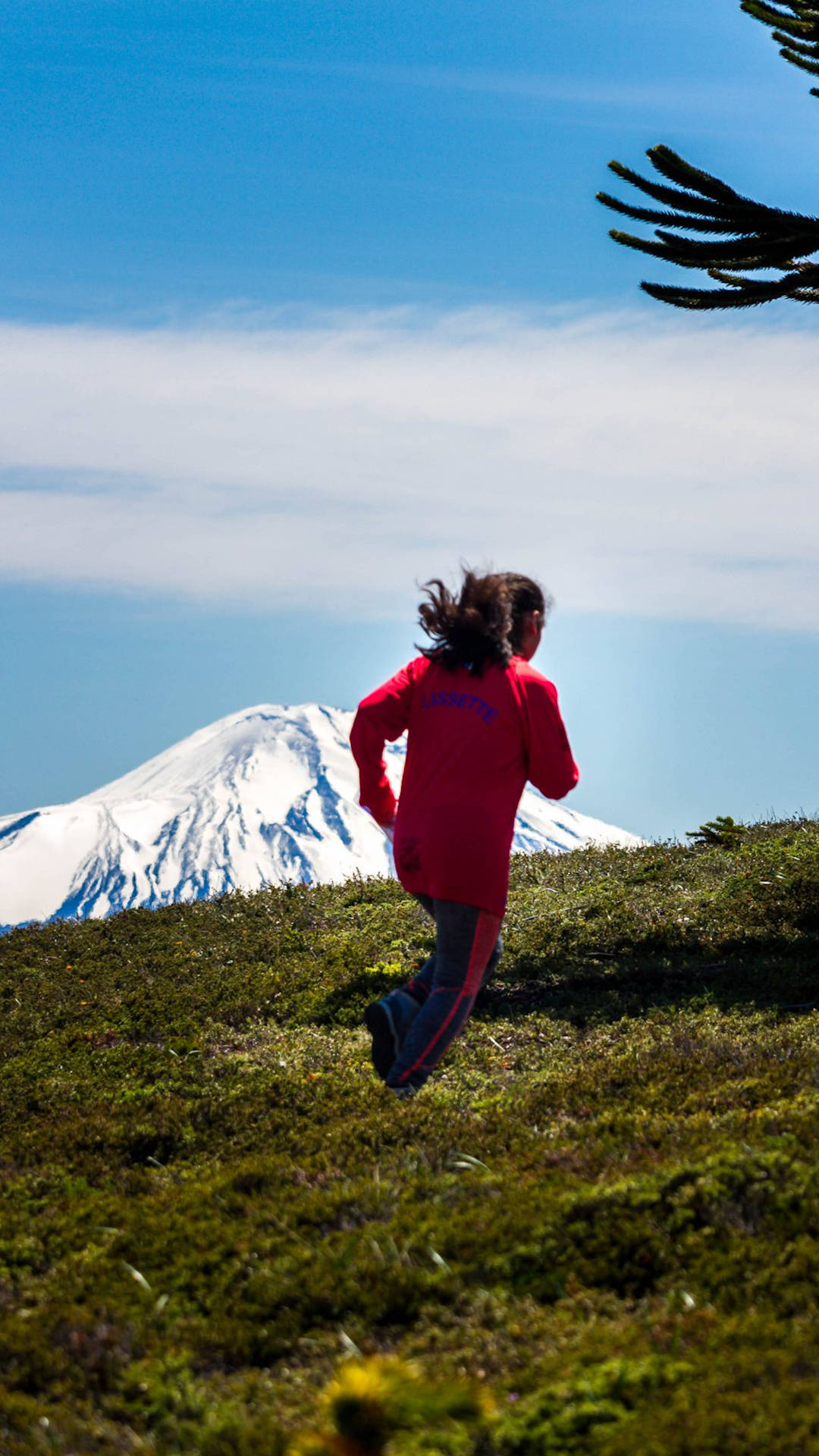Evento de orientación en Pucón, Chile, con participantes en un entorno natural durante el Campeonato Sudamericano de Orientación 2026.