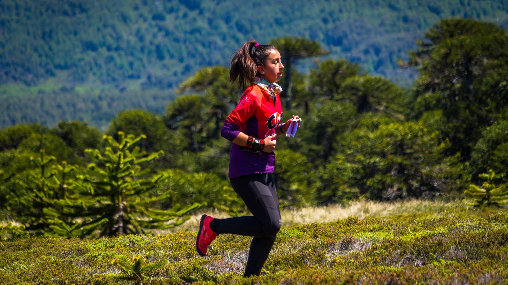 Evento de orientación en Pucón, Chile, con participantes en un entorno natural durante el Campeonato Sudamericano de Orientación 2026.