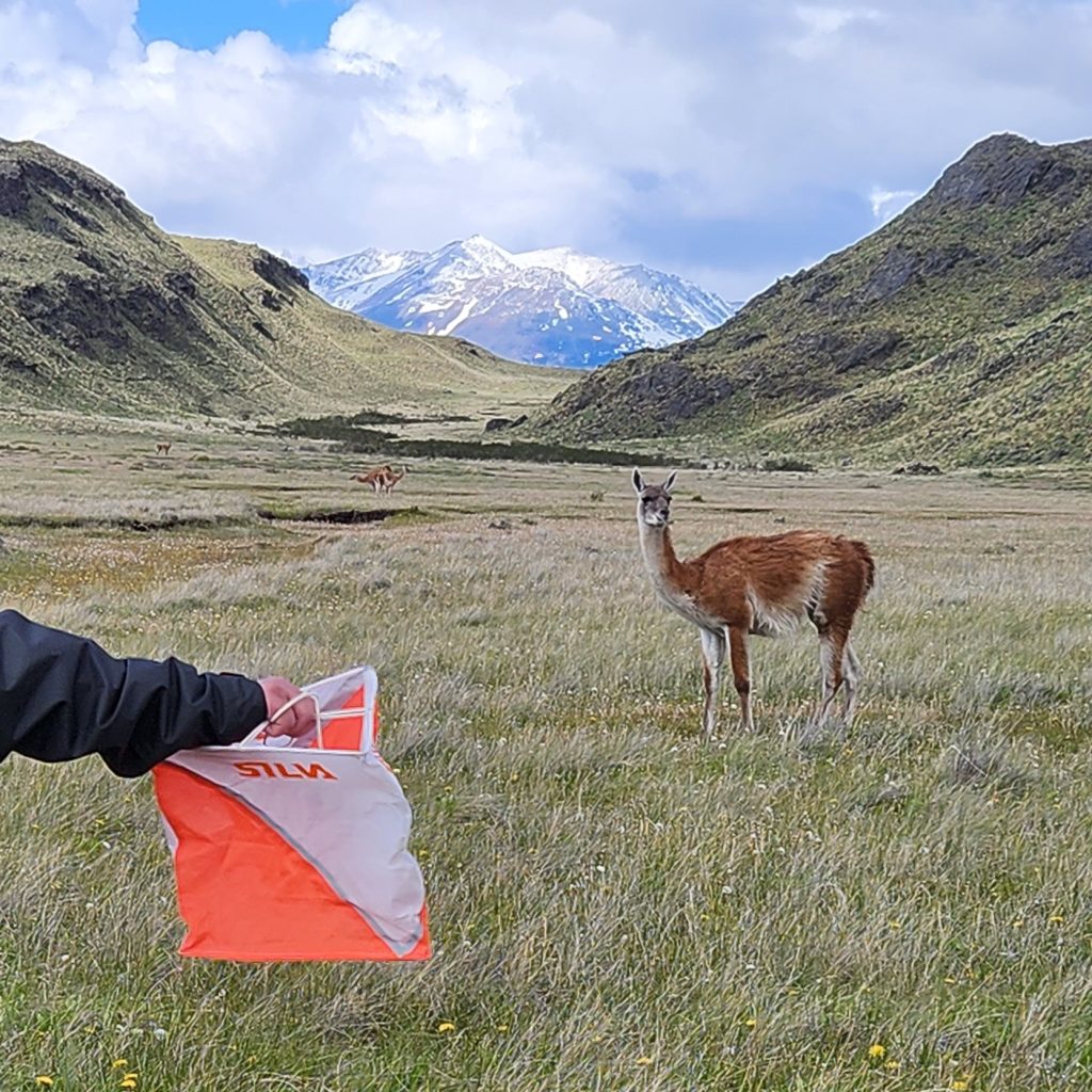 Evento de orientación en Pucón, Chile, con participantes en un entorno natural durante el Campeonato Sudamericano de Orientación 2026.